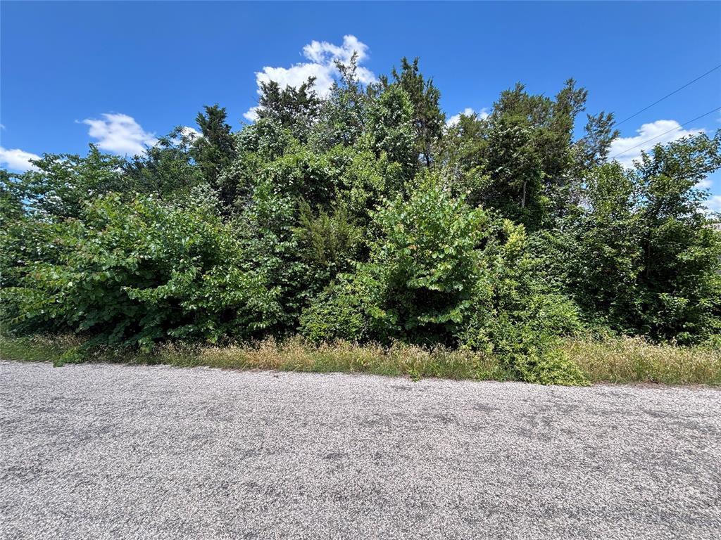 Photo of Listing #20956840