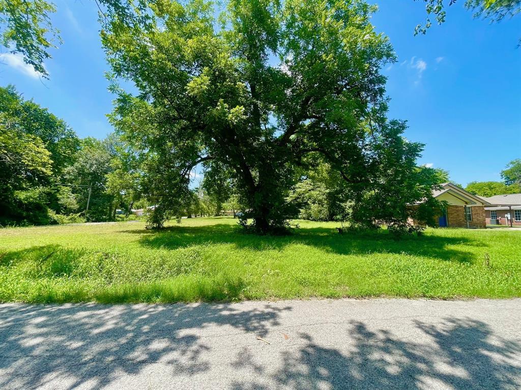 Photo of Listing #20973168