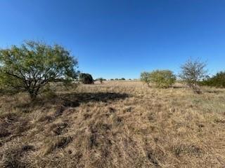 Photo of Listing #21088173