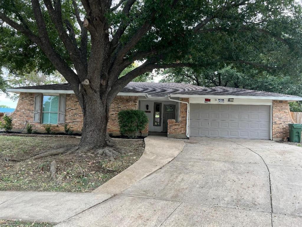 Photo of Listing #21020949