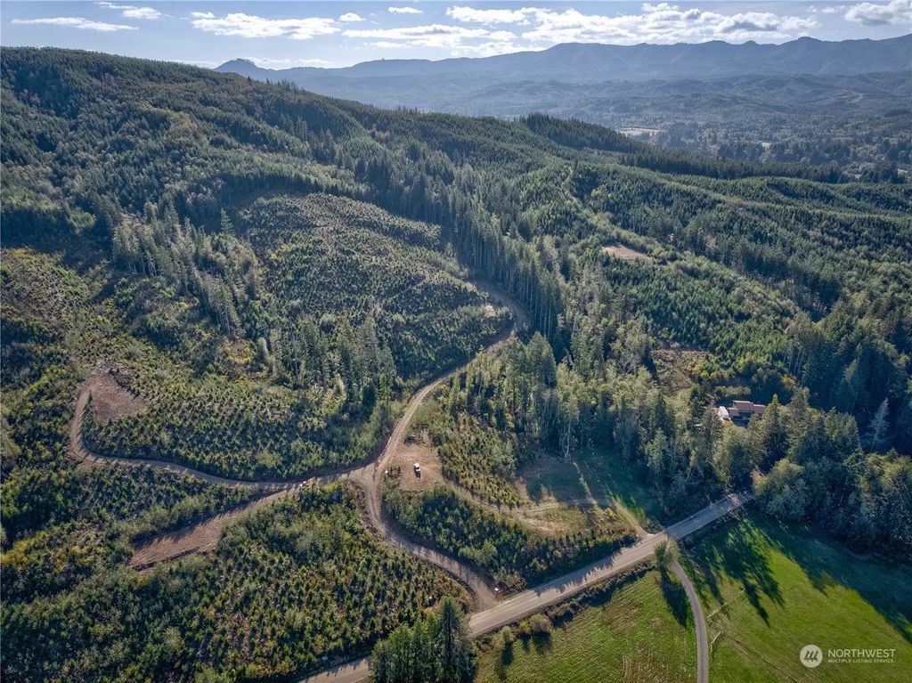 0 Tract 1 South Valley Rd, Naselle