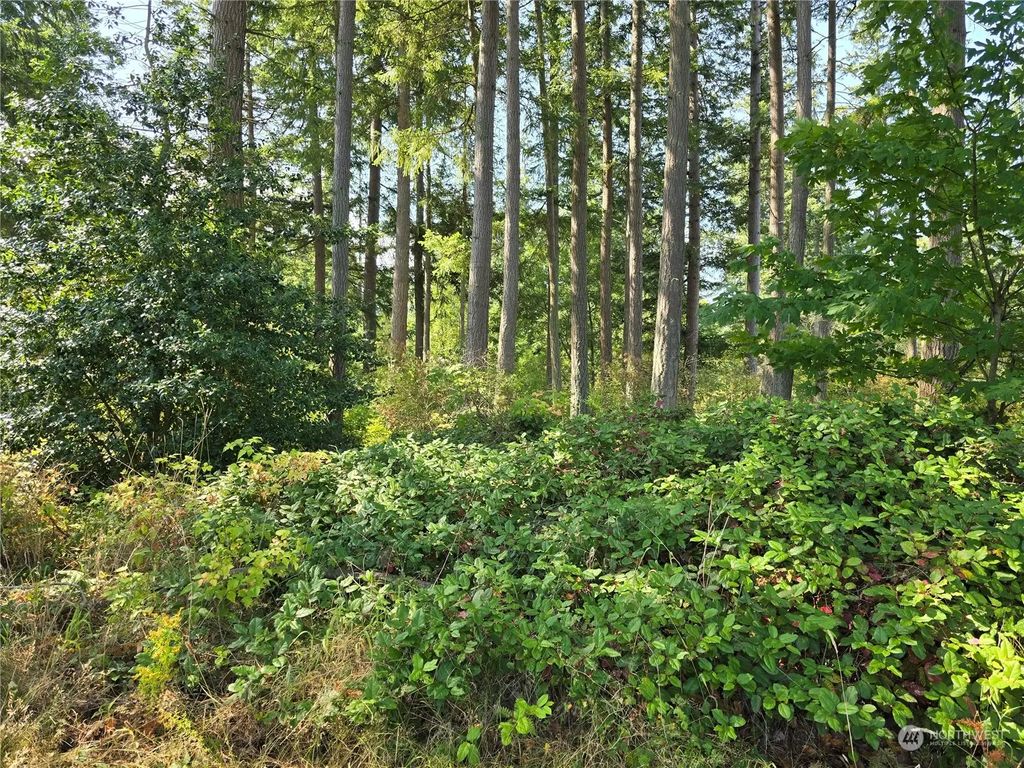 4081 Preserve Drive, Camano Island