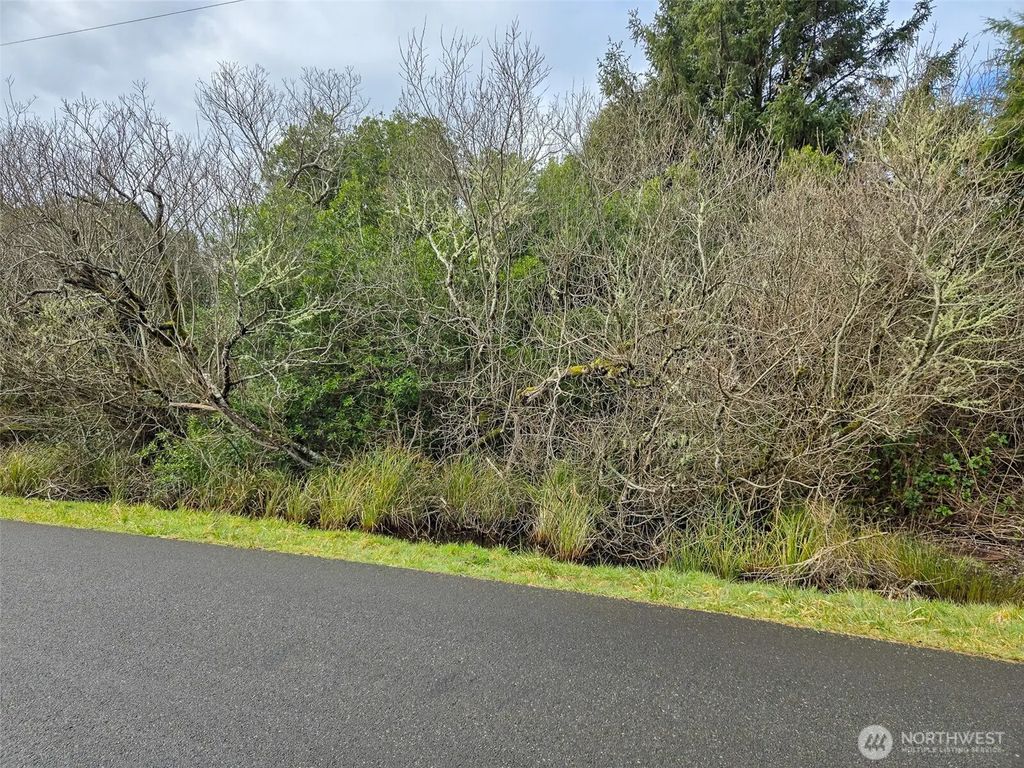 318 N Wynoochee Drive Sw, Ocean Shores