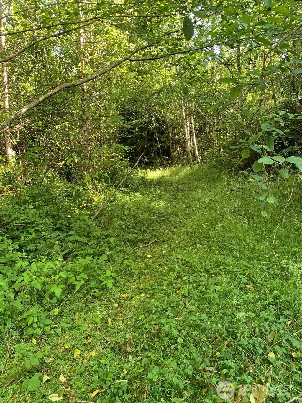 2 Tract Parpala Road, Naselle