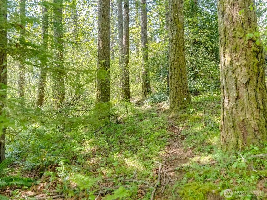 0 Xxx Se 362nd Avenue, Washougal