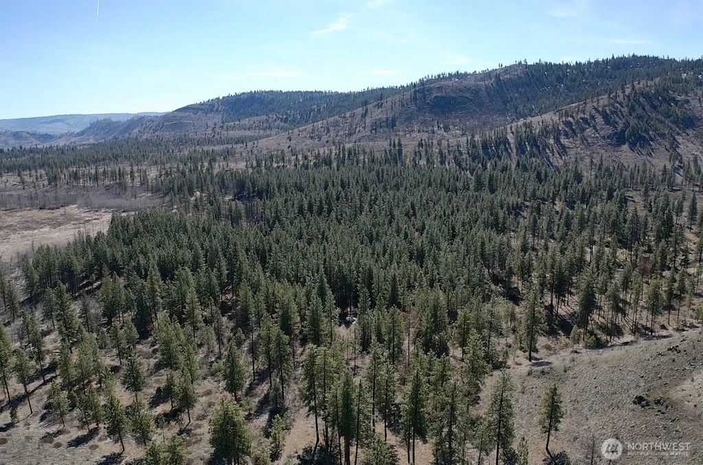 0 Nhn Washington Creek Road, Chelan