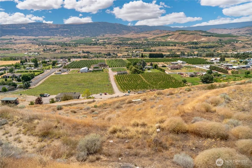 Noble Moonbeam, East Wenatchee