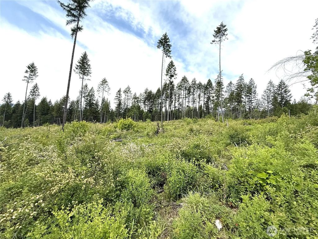 0 Lot 4 Rockabye Lane, Curlew
