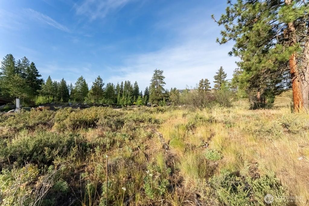 615 Pine Loop, Winthrop