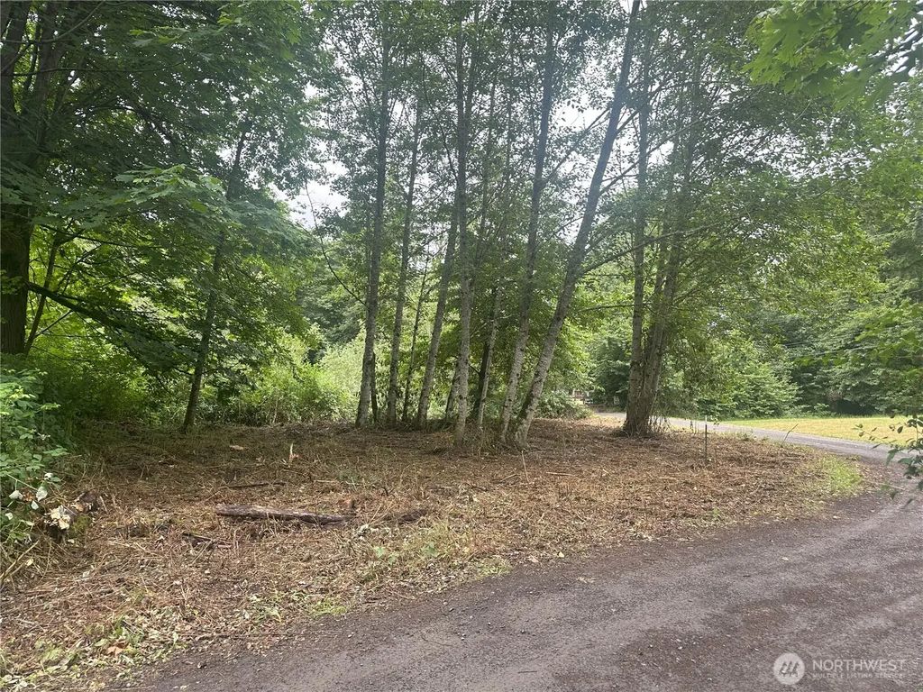 0 Xxxx Skidder Hill Road, Quilcene