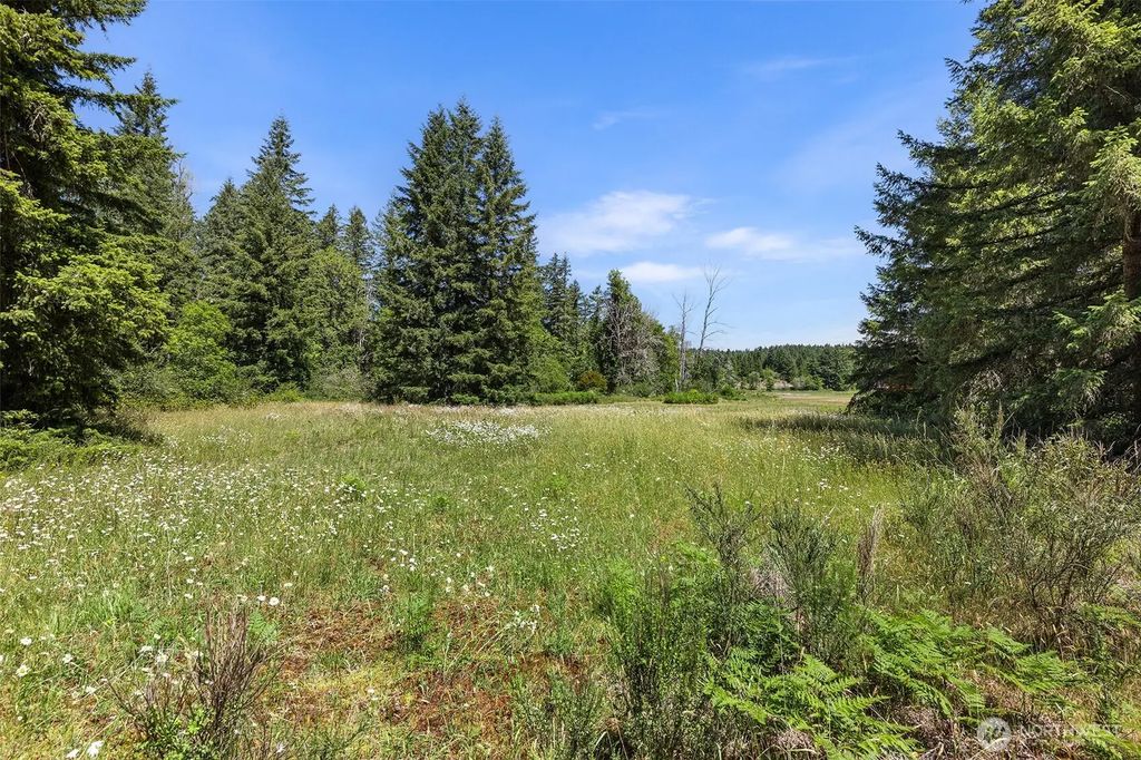 22030 Peissner Road Se, Yelm