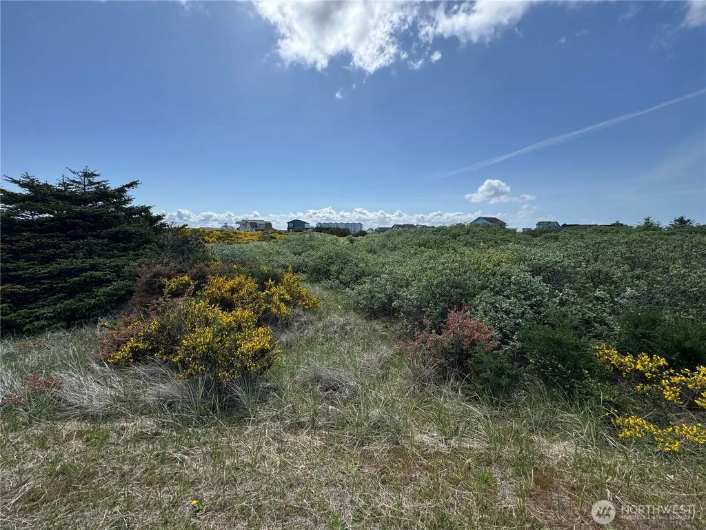 421 S Portal Loop Sw, Ocean Shores