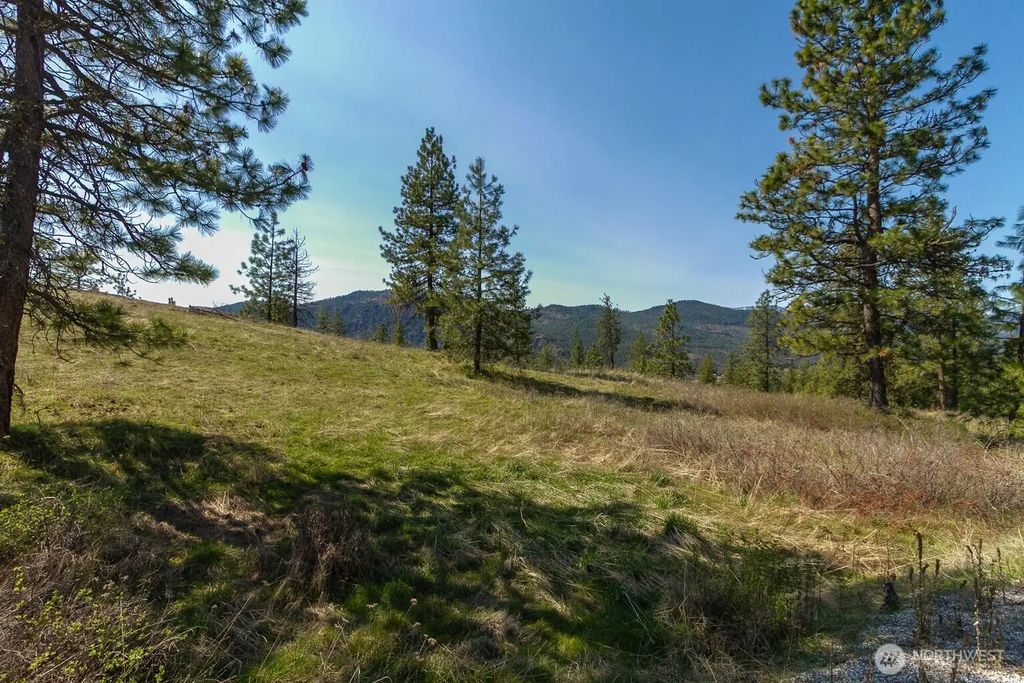 1622 Palmer Loop, Chewelah