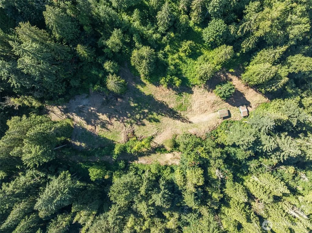 Ne Johnson Rd (parcel# 222320000), La Center