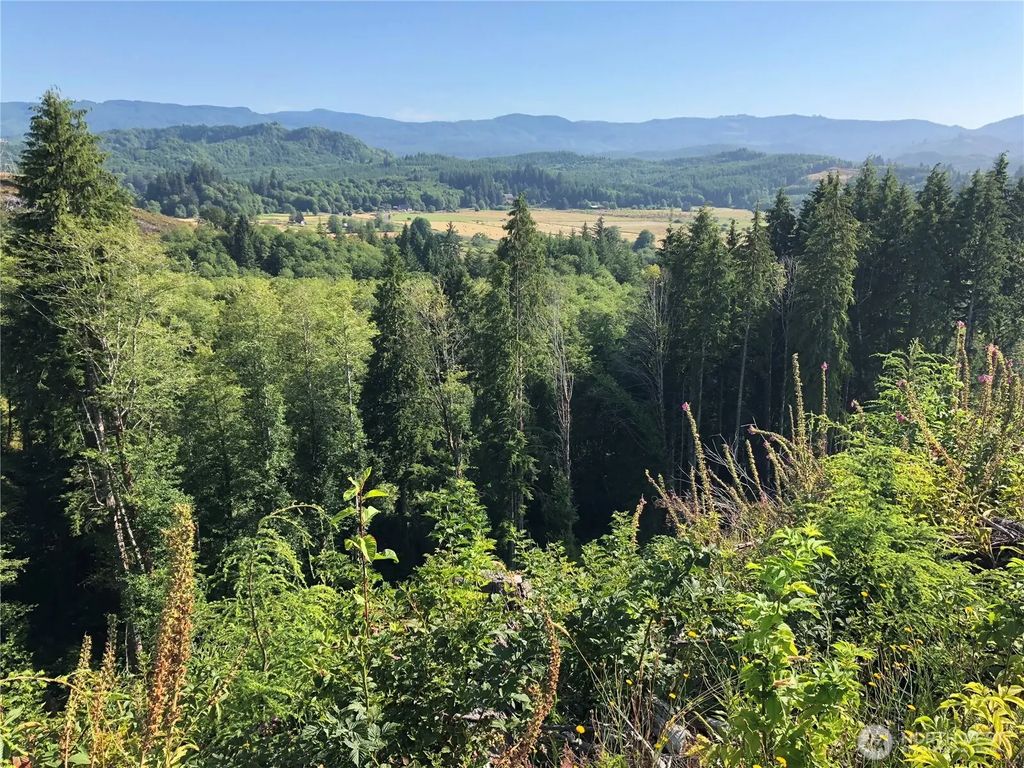 0 Lot B State Route 4 Highway, Skamokawa