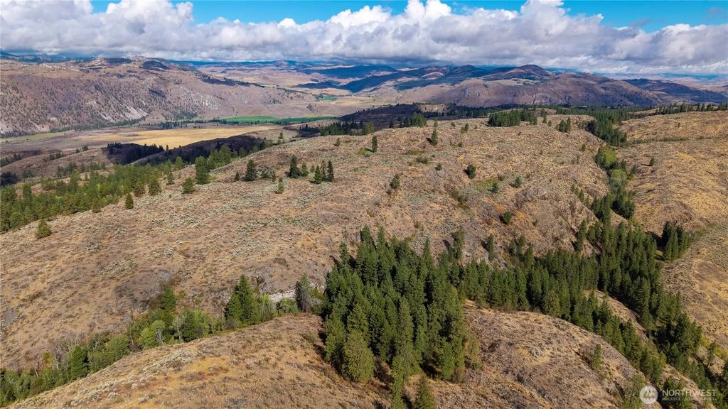 Tbd Pharr Out - 14 Way, Omak