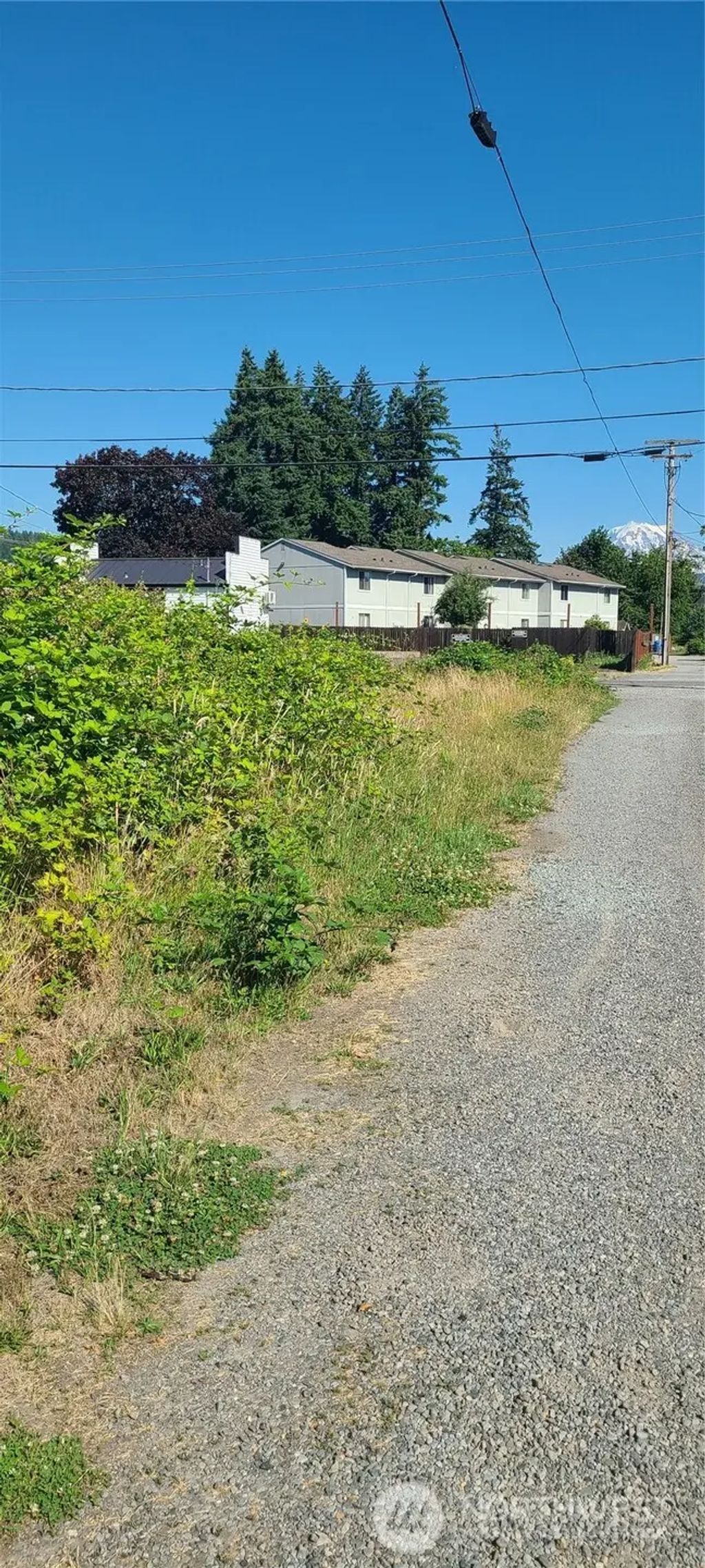 213 Bridge Street Sw, Orting