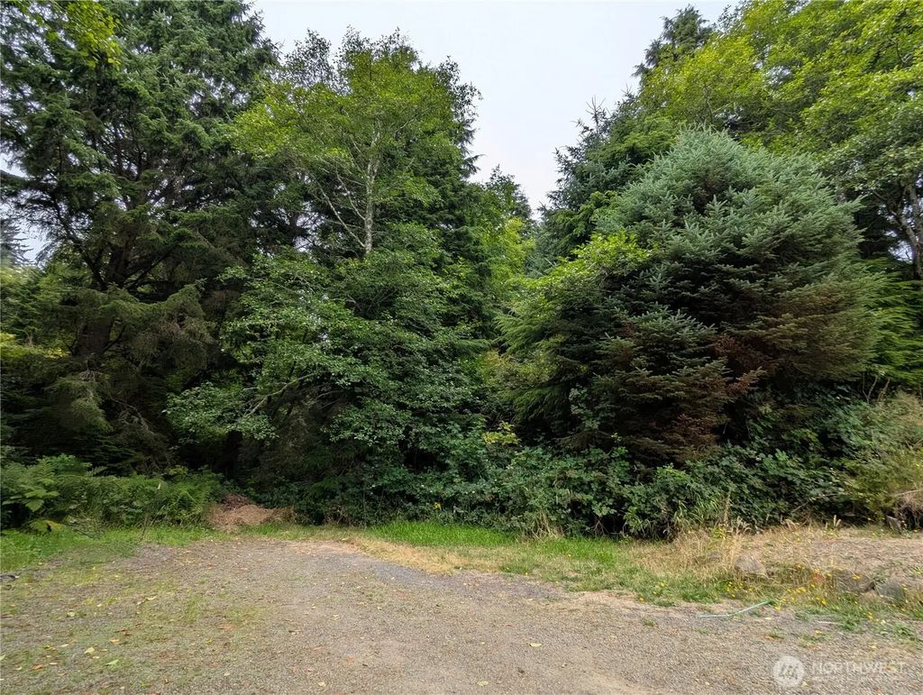 0 Lot 14 Lamontay Place, Ilwaco
