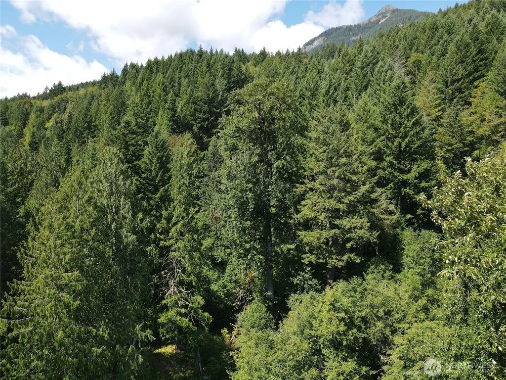 Cannon Road, White Pass