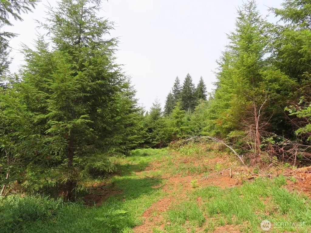 0 Lot H Mill Creek Lane, Longview