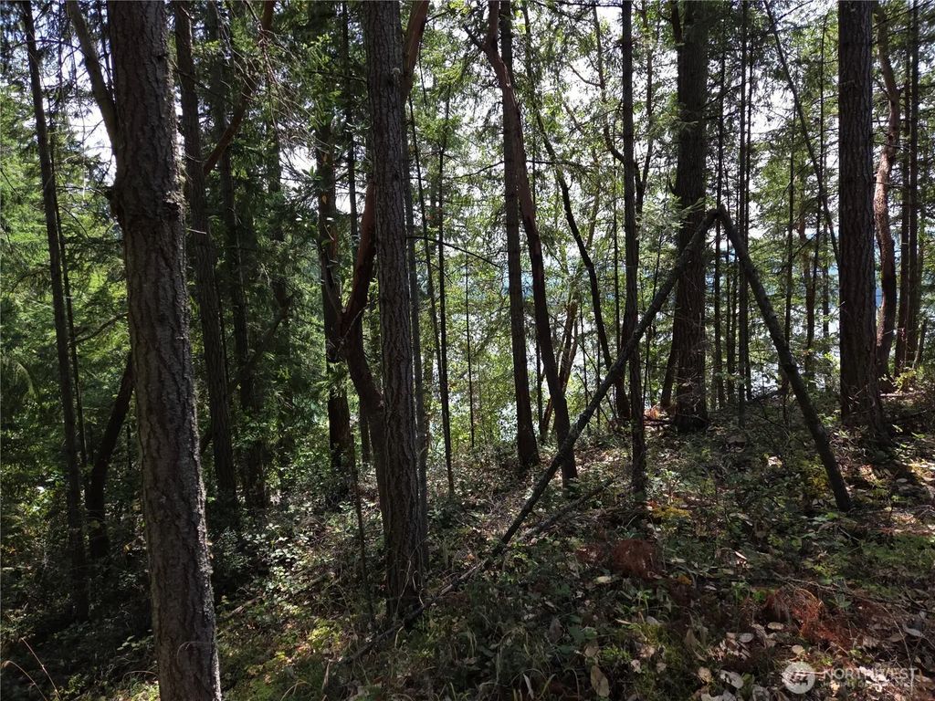22137 Clear Lake Boulevard Se, Yelm