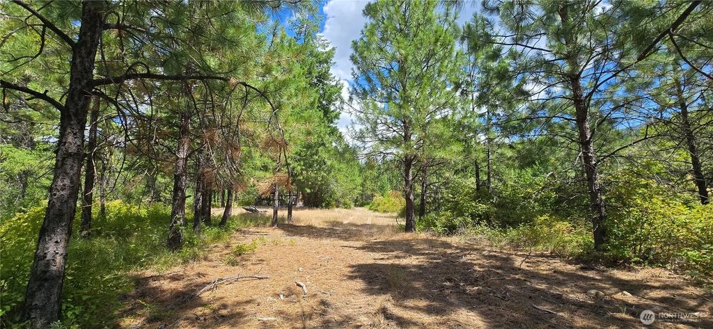1733 Old Cc Road, Addy