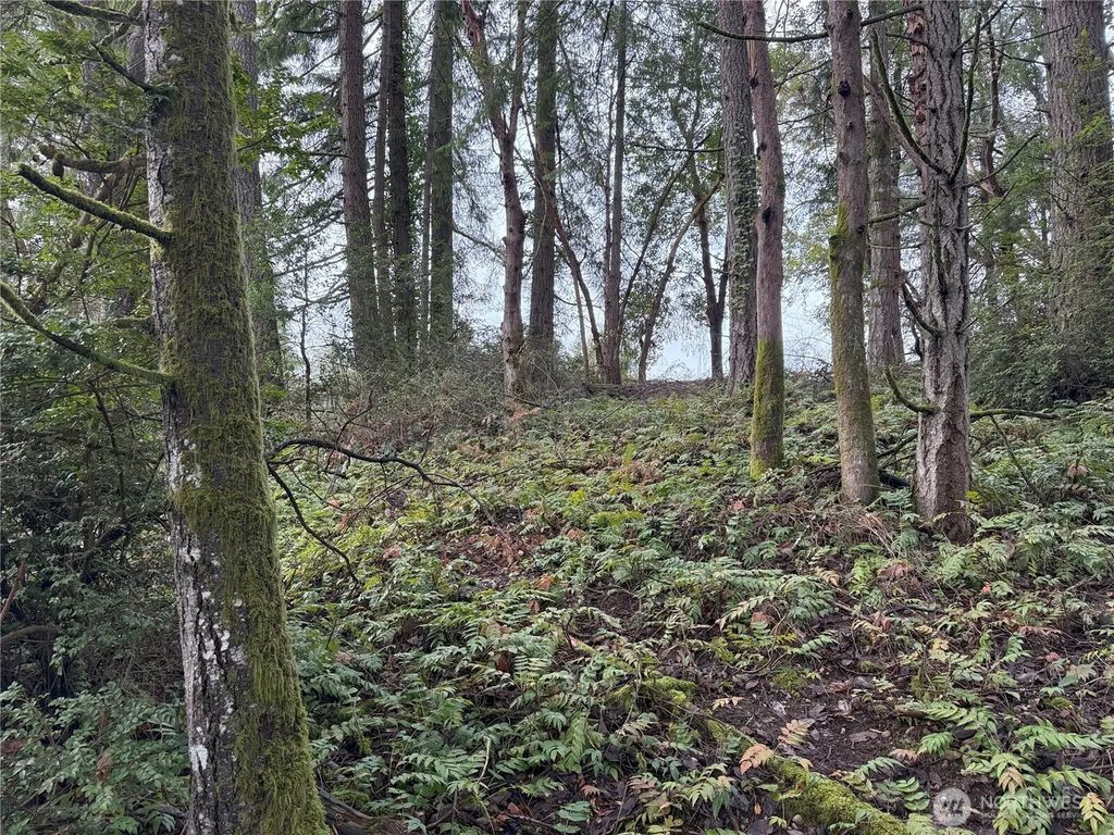 7719 Rosedale Street Nw, Gig Harbor