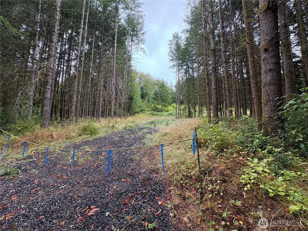 0 Lot B-d Se Rose Street, Winlock