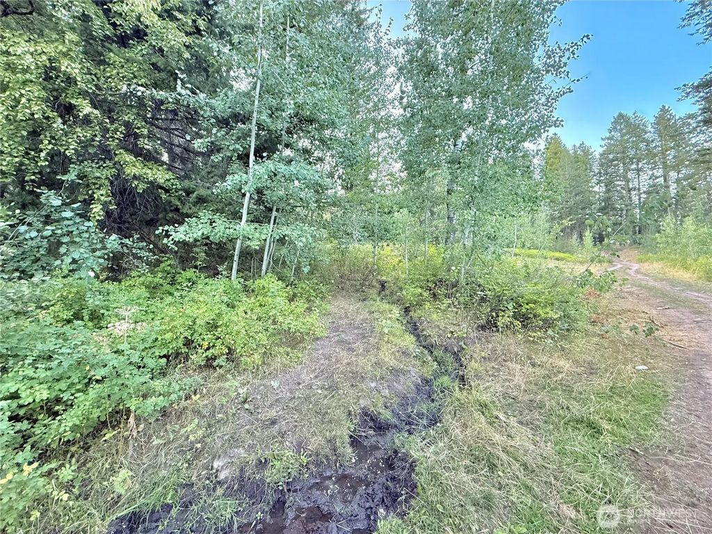 Tbd Buzzard Lake Road, Okanogan