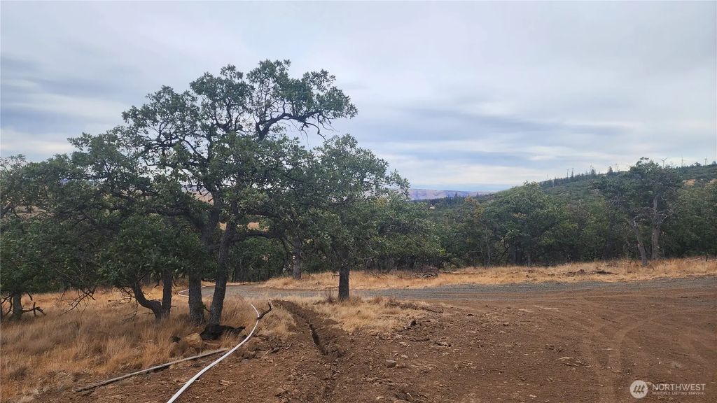 295 Oak Flatt Road, Goldendale