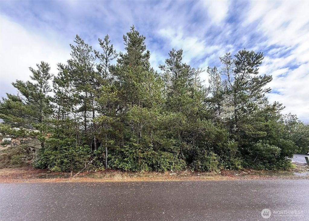 254 Ne Olympic View Ave, Ocean Shores