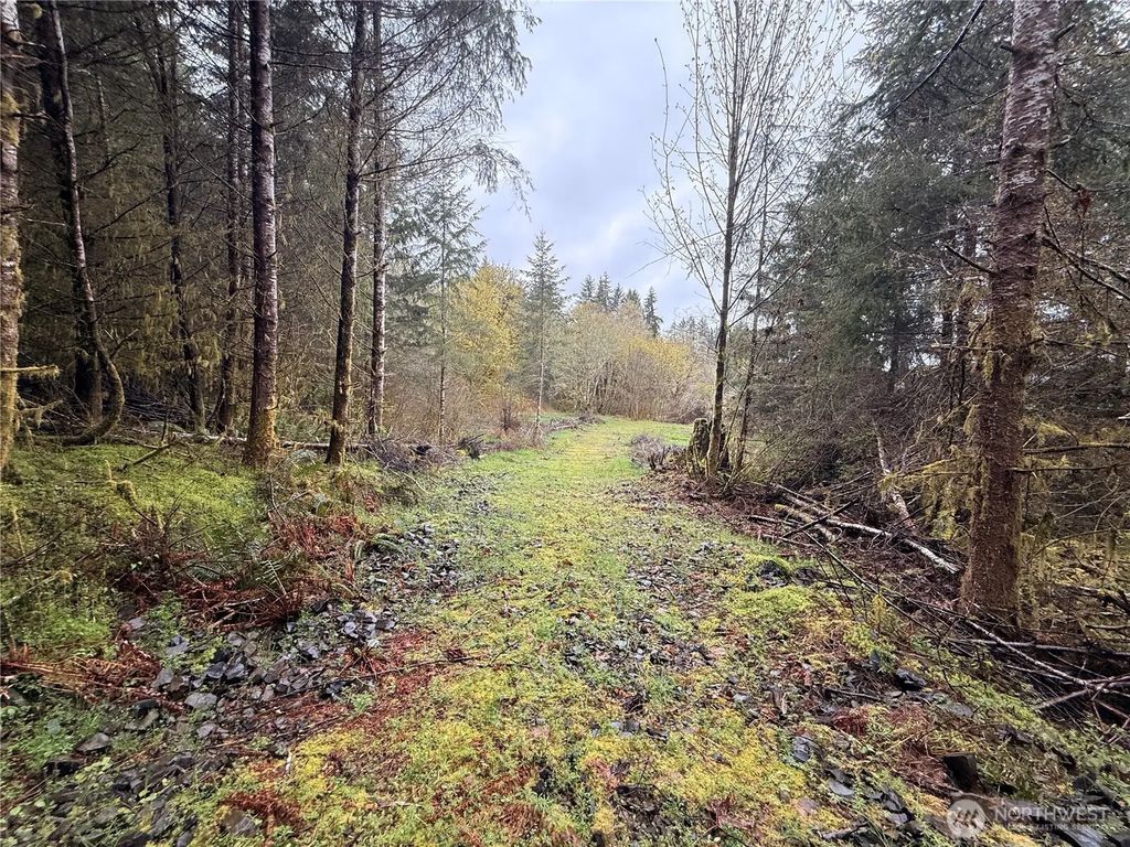 Bunker Creek Road, Adna