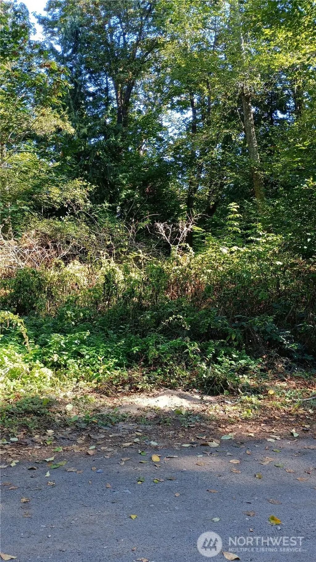 97 J Saratoga, Hat Island