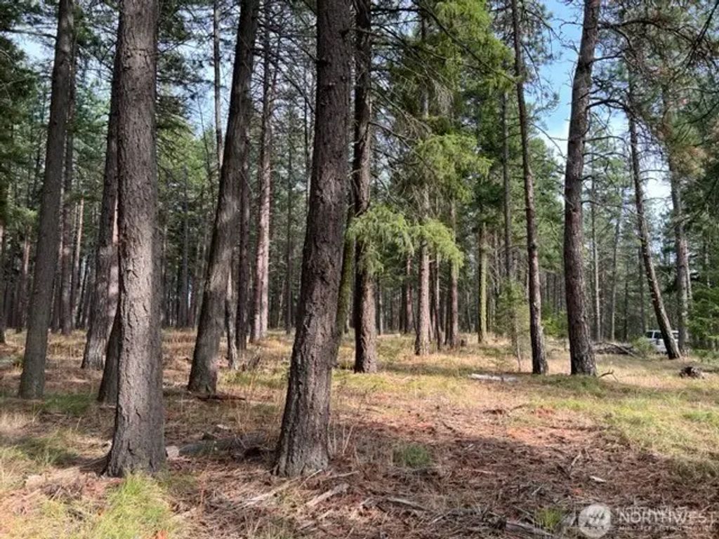 0 Xxx Unknown, Cle Elum