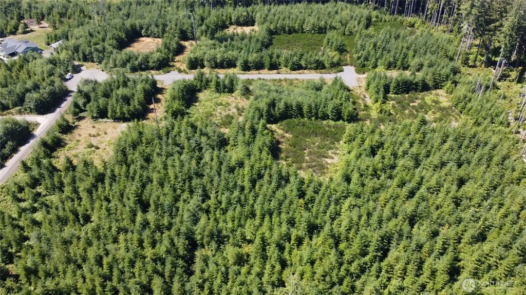 9999 King Johns-lot 2 Crow Sp Way, Forks