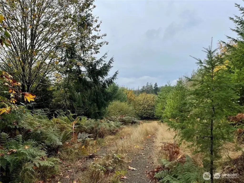 30 Acres Glenwood Road Sw, Port Orchard