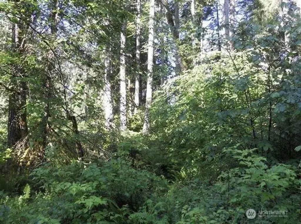 10608 Edgewood Drive, Anderson Island
