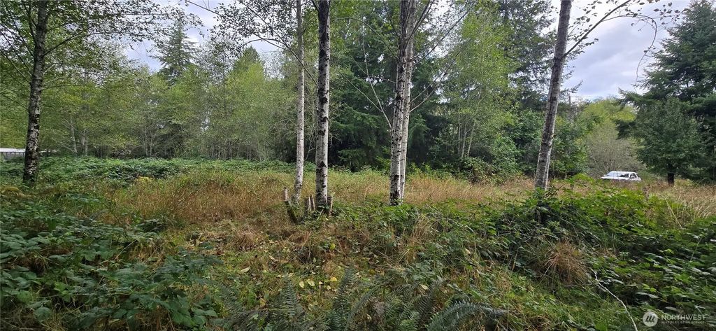 1351 Satsop Road W, Montesano