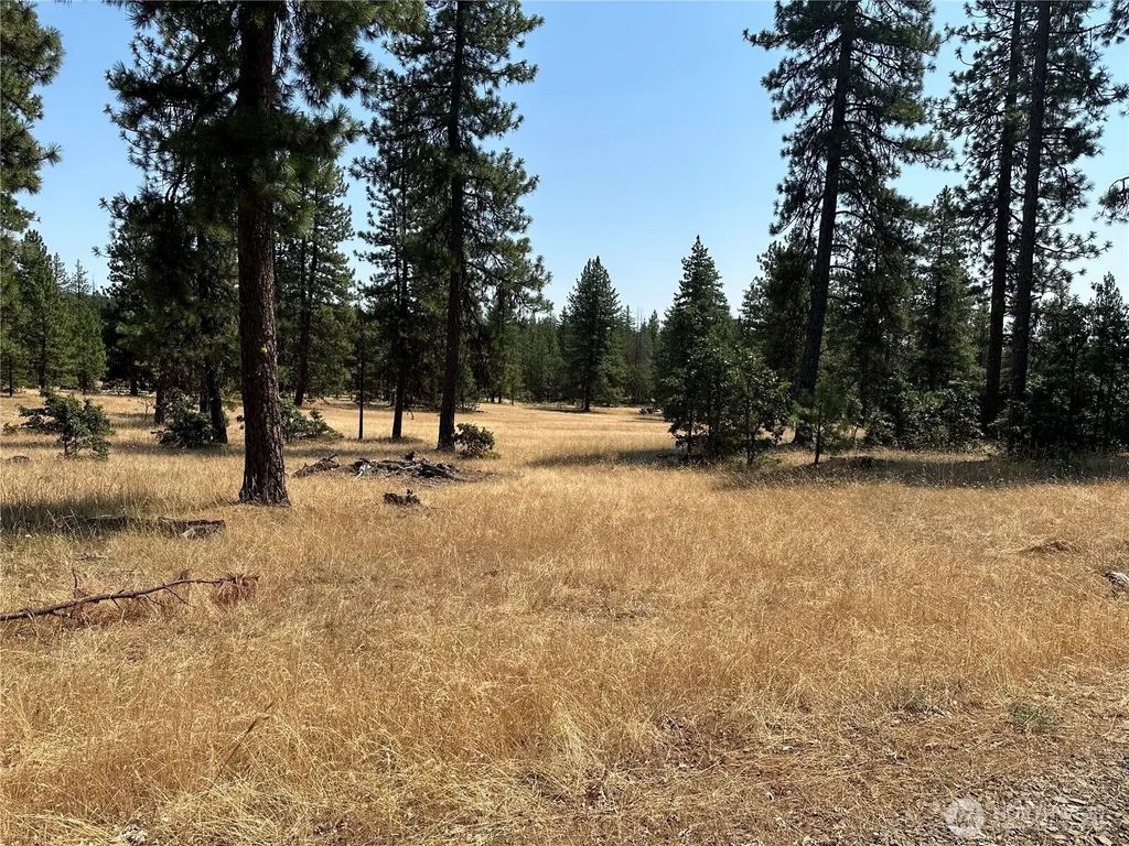 13 Greyback Mtn Road, Goldendale