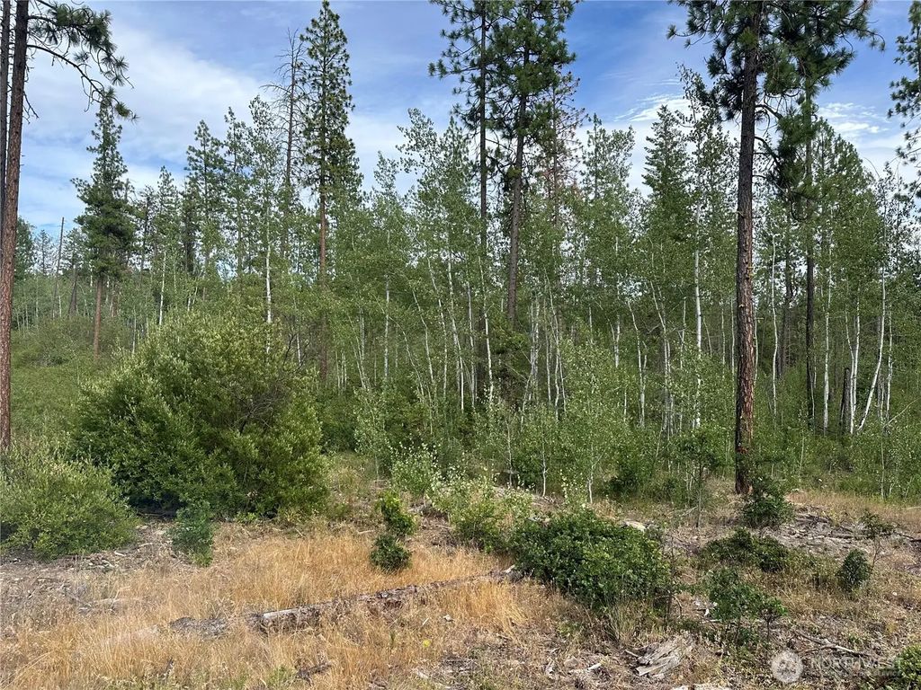 5 Greyback Mt Road, Goldendale