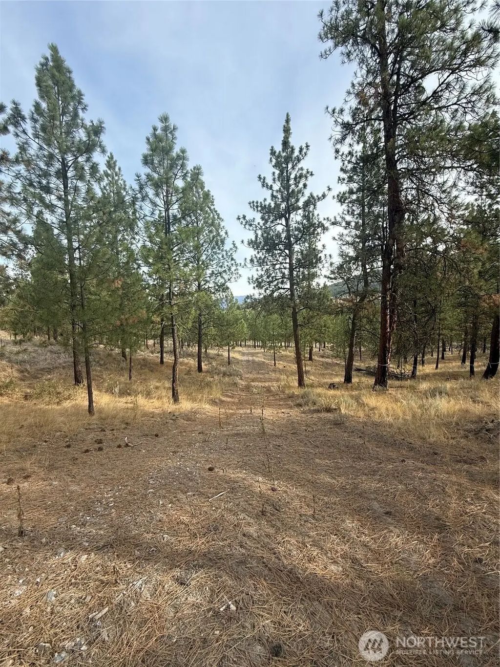 67 W Bannon Creek Road, Tonasket