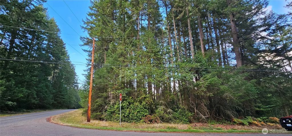 10115 Edgewood Drive, Anderson Island