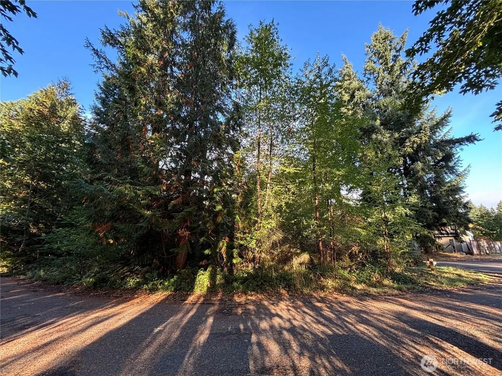 17745 Se Vine Lane, Yelm