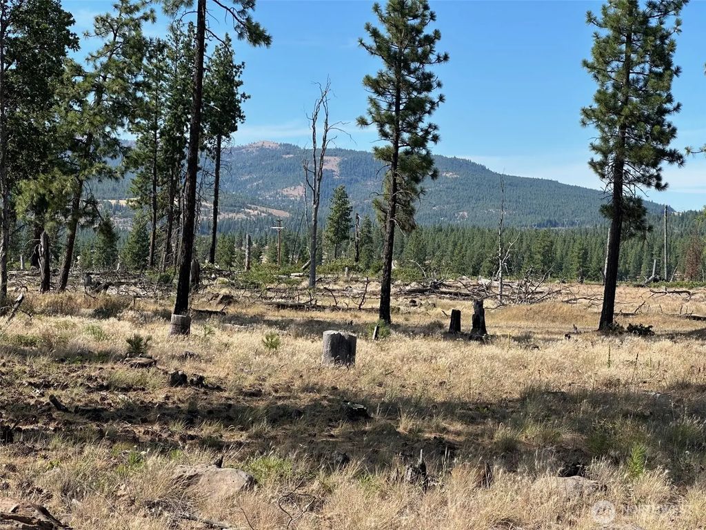 Lee Road, Goldendale