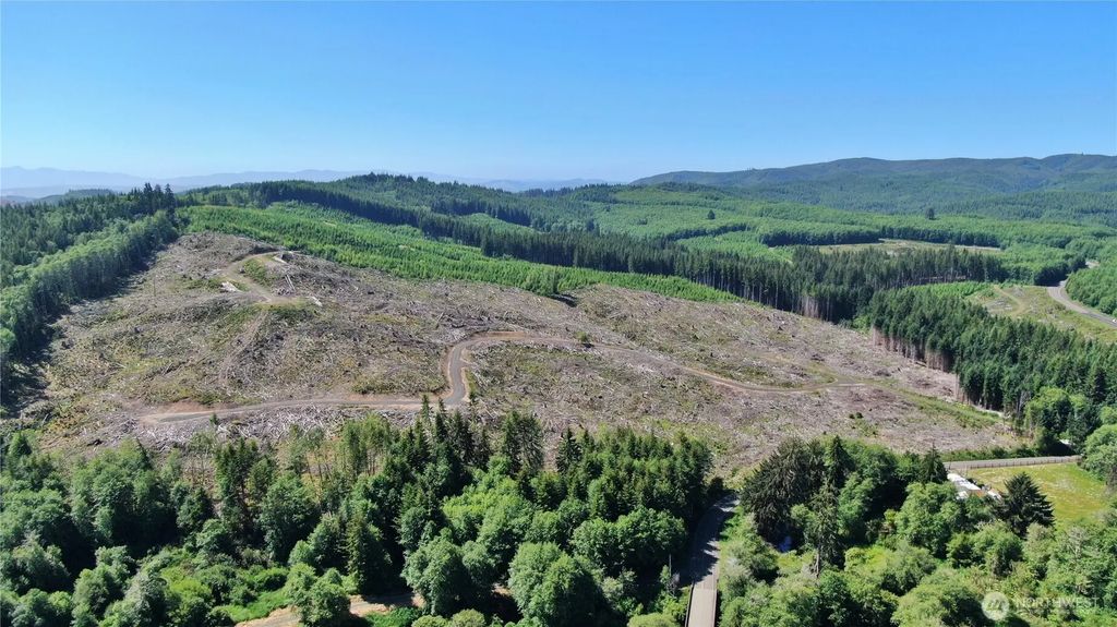 0 Nka Smith Creek Road, Raymond