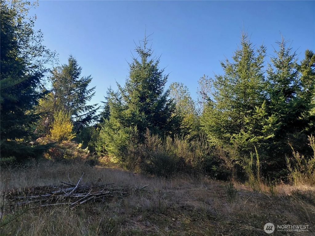 0 Lot 7 Buck Drive, Randle