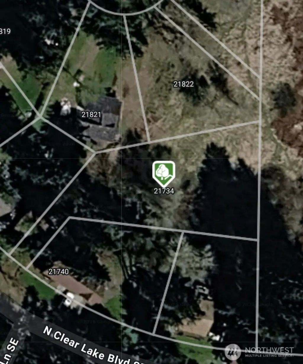 21734 N Clear Lake Boulevard Se, Yelm