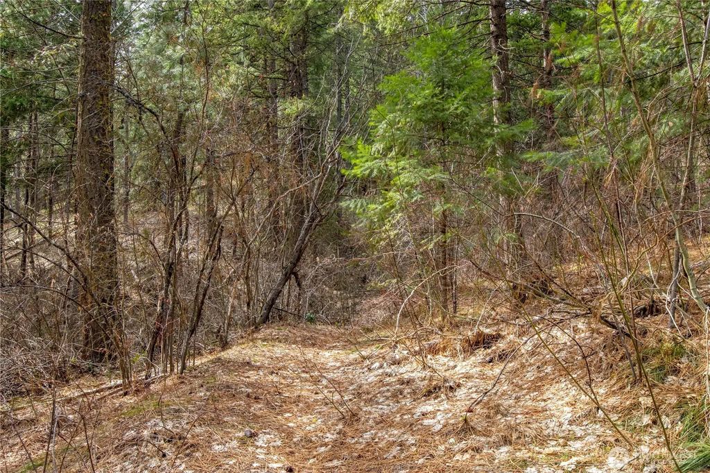 1 Chumstick Highway, Leavenworth