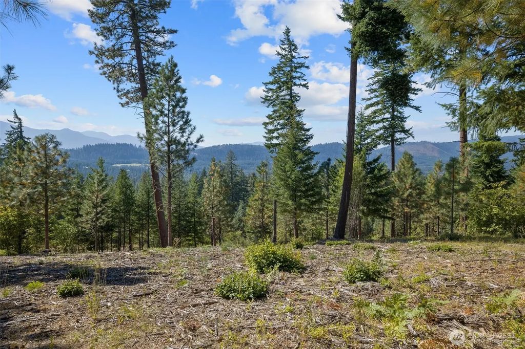9 Red Sky Way, Cle Elum