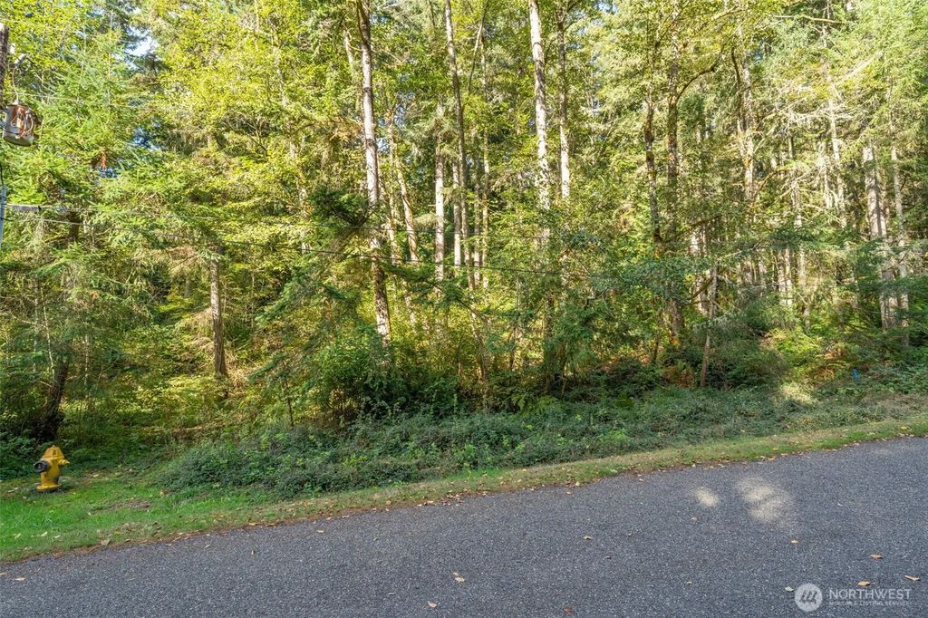 10602 Vantage Drive, Anderson Island
